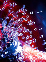 Matej-Baco-Party-Water.jpg