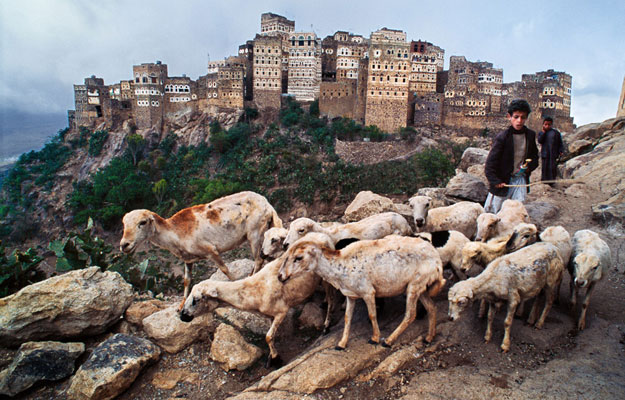 Yemen © Steve McCurry