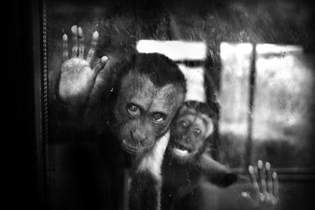 Krik © Sandra Štimac