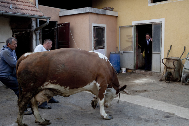 Darko Mihalić-GLOBUS
