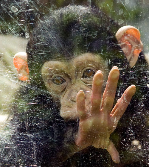 © Mario Šebetovsky