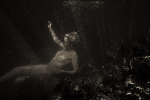 © Miroslav Arbutina Arbe