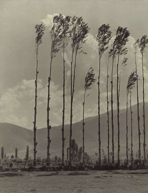 Paralele © Milan Fizi