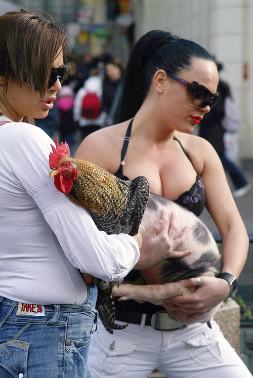 © Krešimir Mehičić