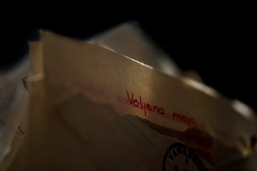 © Jelena Blagović
