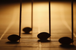 A la carte 2 © Helena Cuculić