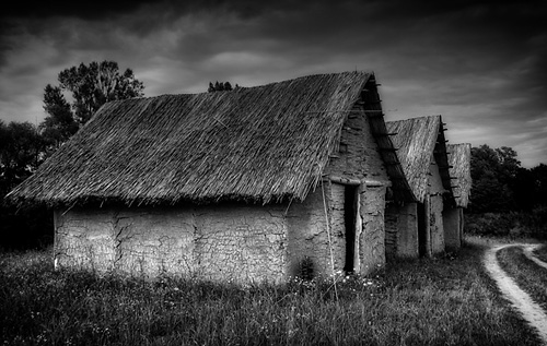 © Davor Mrkela