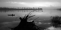 Dunav © Goran Škrlec
