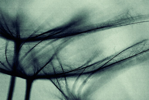 © Valentina Bunic