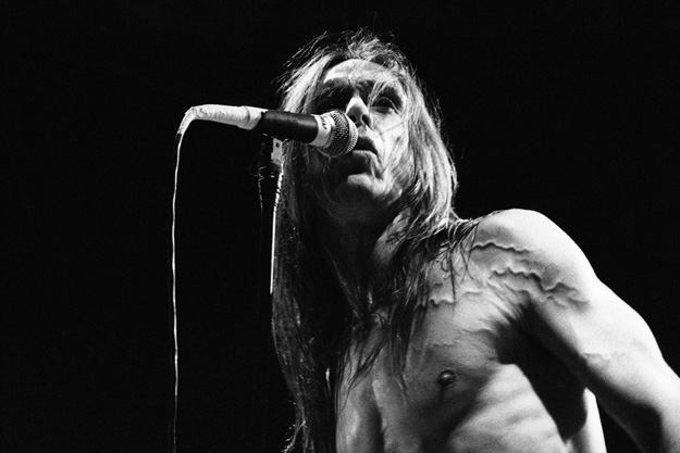 Iggy Pop © Zoran Jačimović - Jačo Iggy Pop © Zoran Jačimović - Jačo