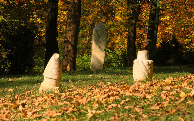 Fotografija Faruk Ibrahimović