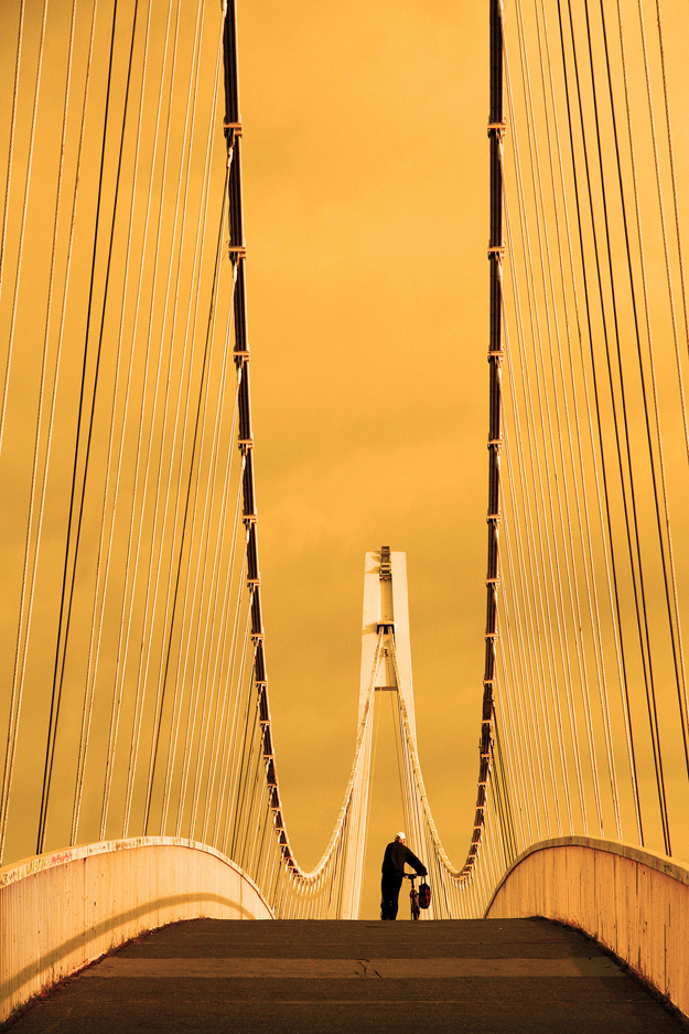 Renato Pejković - Šetač