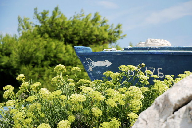 U moru motara © Ivana Fištrek