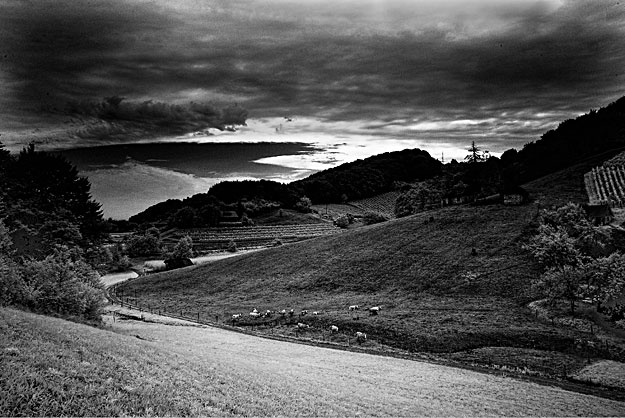 Kostanjevica - Nokturno © Vinko Šebrek