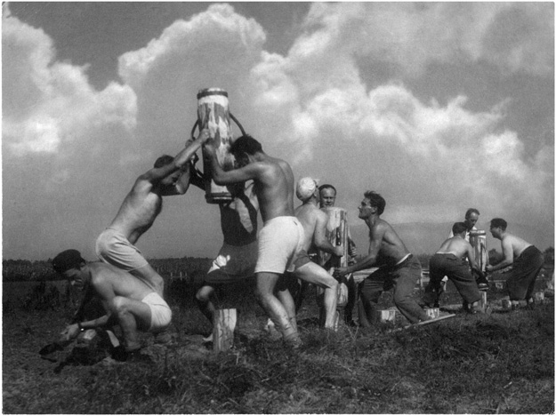 Ante Roca - Stupnik