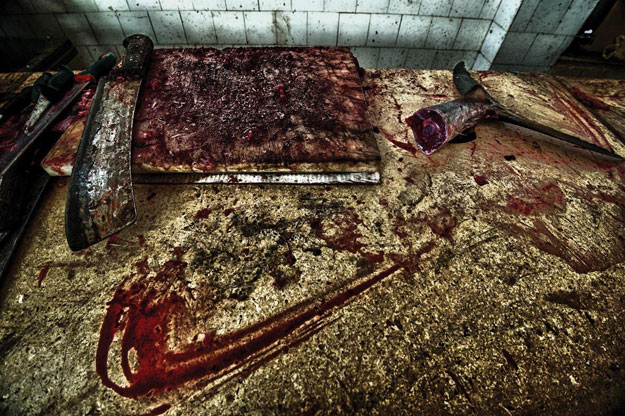 Jović Željko © Martirij