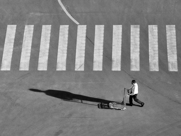 Aleksandar Tomulić © Zebra 1