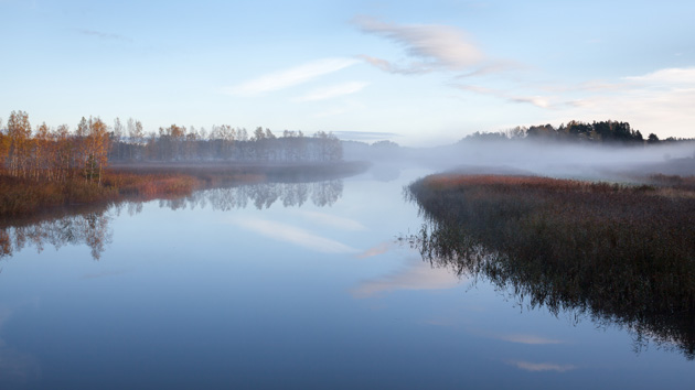 Jussi Jyvälahti - Morning Mist