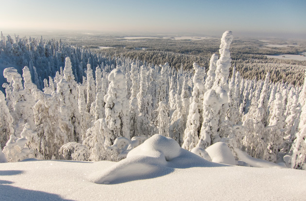 Teuvo Rämänen - The White March