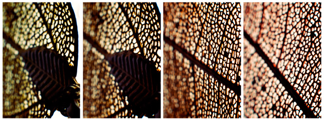 Zvjezdana Flanjak Perhoč