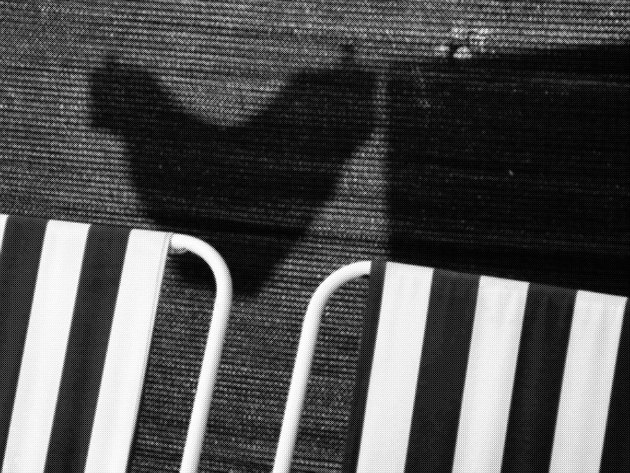 Ivanka Miletić - Ljetno sjećanje 2