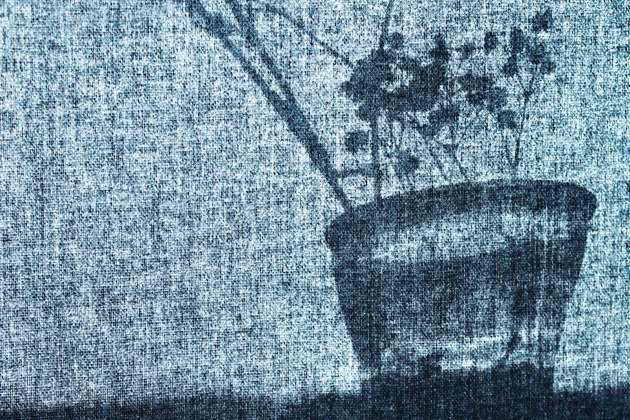 Vera Jurić - Nježnost 2