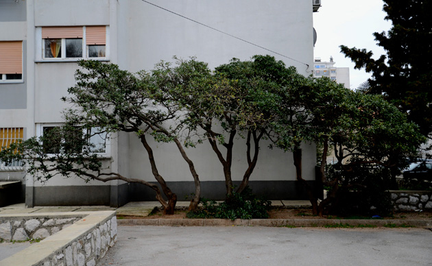 Fotografija: Nika Petković