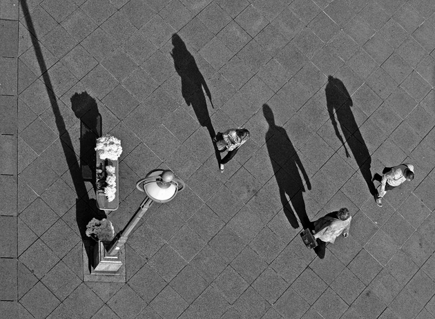 Neda Rački – Quick Steps