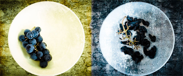 Slavko Radman – Duality