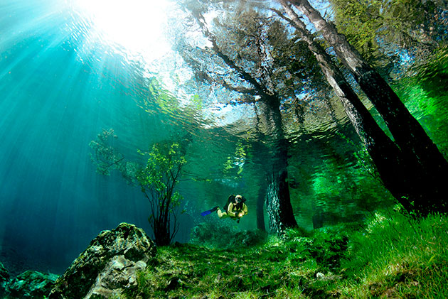 Portfolio - HEINZ TOPERCZER