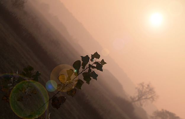 Renato Glogovčan - Refleksija