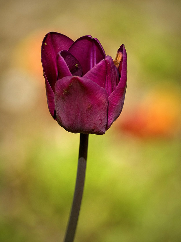 Vesna Špoljar - izložba fotografija Tajne Vesna Špoljar - izložba fotografija Tajne