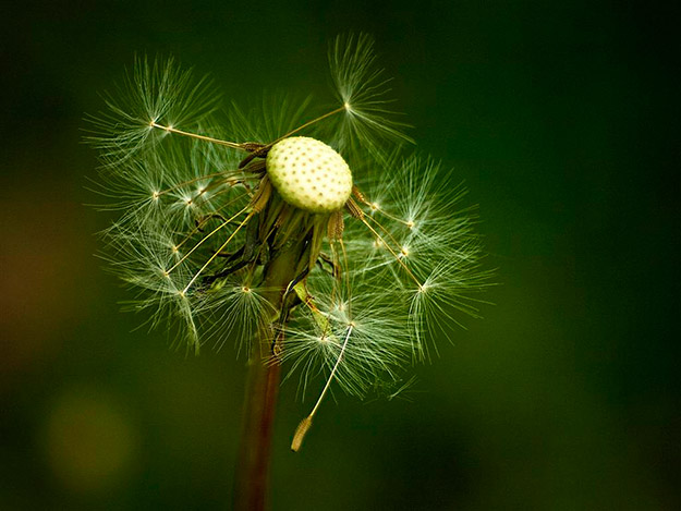 Vesna Špoljar - izložba fotografija Tajne Vesna Špoljar - izložba fotografija Tajne